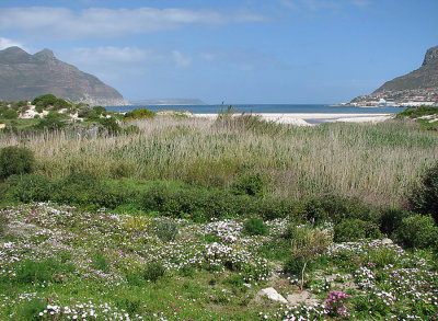 002_Cape Peninsula_077.jpg