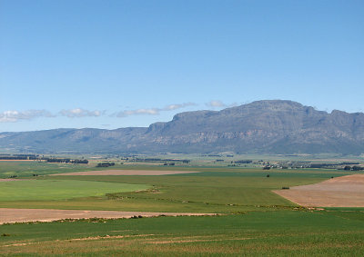 005_Swartberg_Citrusdal_124.jpg