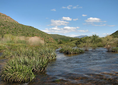 005_Swartberg_Citrusdal_131.jpg