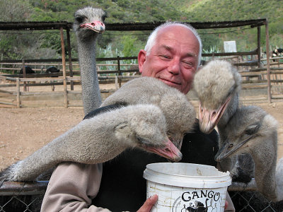 007_Oudtshoorn_178.jpg