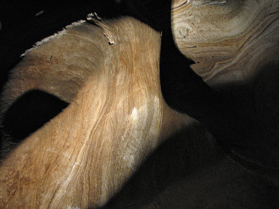 007_Oudtshoorn_189.jpg