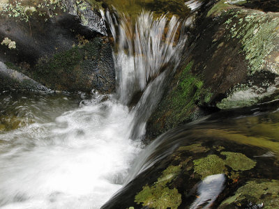 007_Oudtshoorn_210.jpg