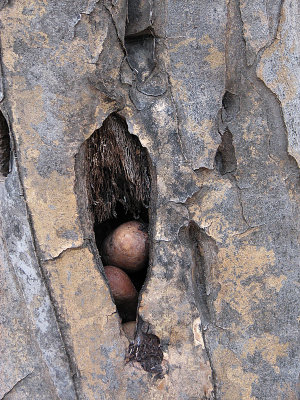 007_Oudtshoorn_216.jpg