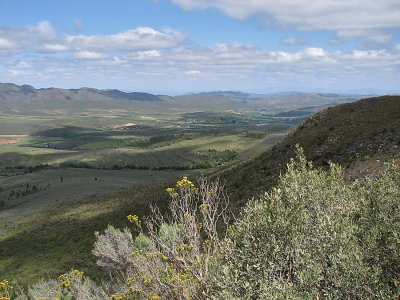008_Swartberg Pass_228.jpg