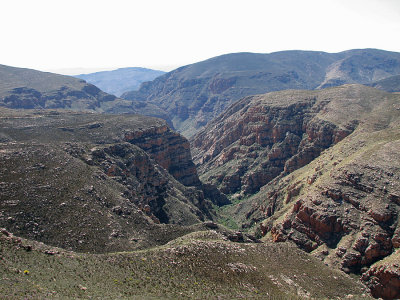 008_Swartberg Pass_238.jpg