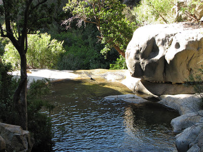 Swartberg Pass and Prince Albert