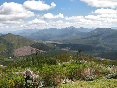 012_Spitskop_342.jpg