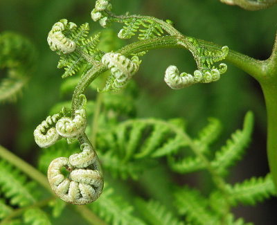012_Spitskop_349.jpg