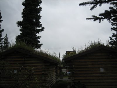 Burnt Paw motel cabin, Tok, AK