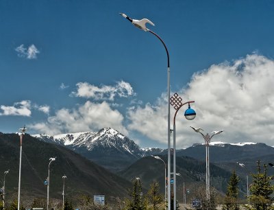 2012-04-23_00002.jpg