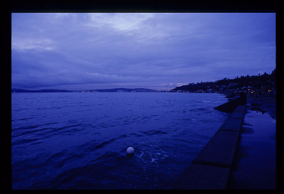 Wilson at Alki