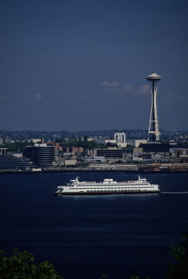 IMG1230.jpg