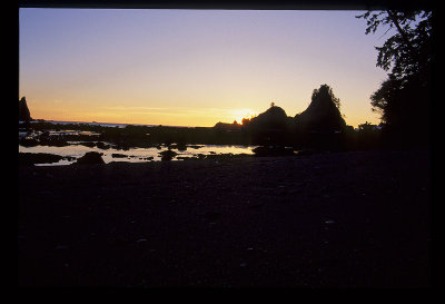 IMG1211.jpg