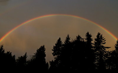 Rainbow in front yard