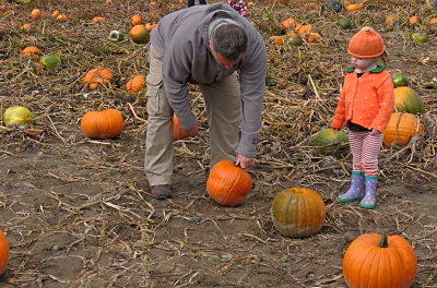 Fall City Pumpkin Farm