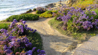 La Jolla California