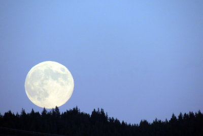 Moon rising