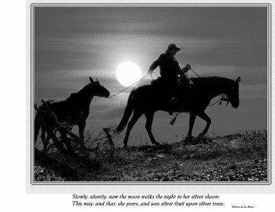 Moonlight in the mountains