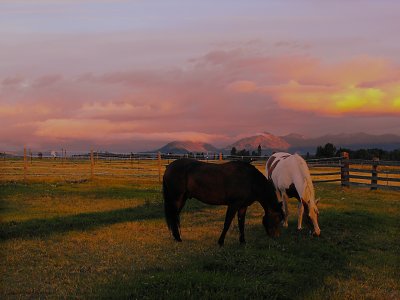 Sunrise on the farm