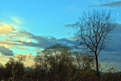 Cold fall day