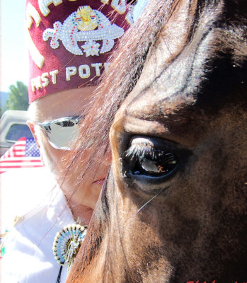 shiloh at parade.jpg