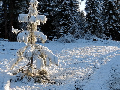 April snow storm