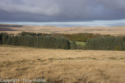 Dartmoor November 2012 in the Trailstar - Camp 7!