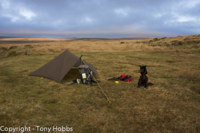 Bess and the MLD Trailstar.