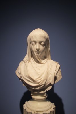 Veiled Lady