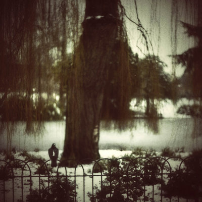 winter's tale - by the weeping willow