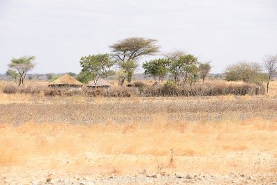 812_4547.JPG