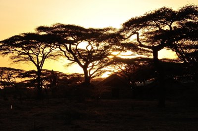 312_2024.JPG