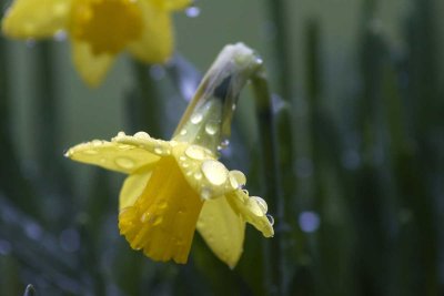 raindrops keep falling on my head