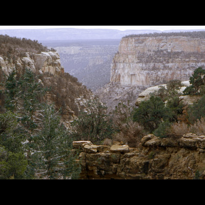 click here for...Mesa Verde Petroglyph Trail