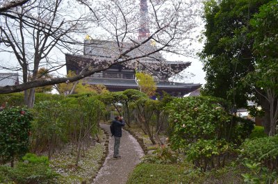 In and around Zojoji Temple
