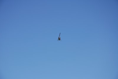 g2/72/200972/3/65797547.wBoh6o9e.jpg