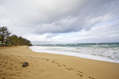 Paia bay