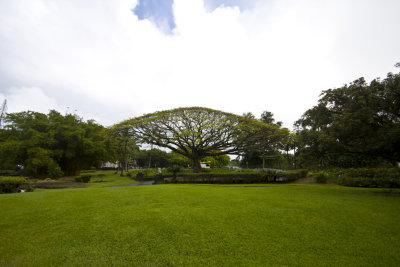 Hilo