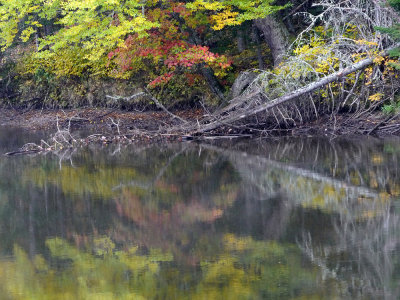 New England's Reflections