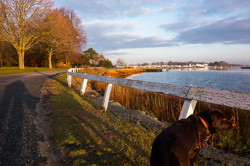 Cino at the pleasant bend in the Road November 21 2012_.jpg