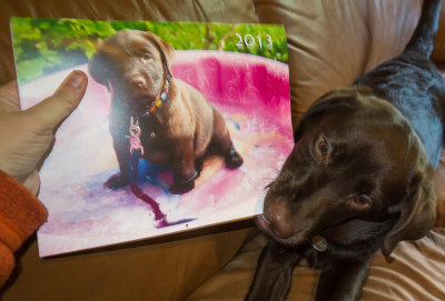 Calendar Girl October 30  2012 day 114.jpg