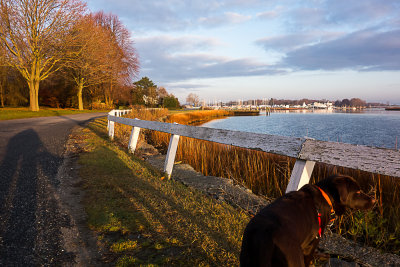Cino at the pleasant bend in the Road November 21 2012_.jpg