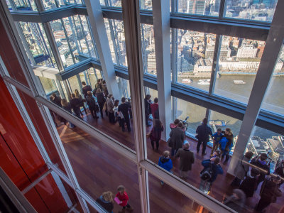 Viewing Gallery