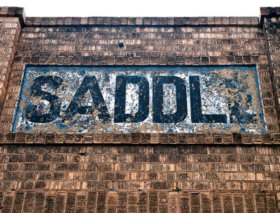 Saddle