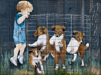 Little boy and collie puppies
