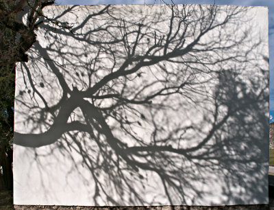 Exterior #5, with tree shadow