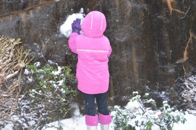 DSC_3103.jpg