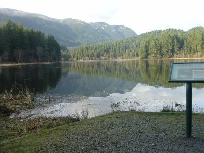 g2/72/574472/3/149348704.moHaTLQ1.jpg