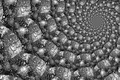 Winter Ice Droste V - 48x32.jpg