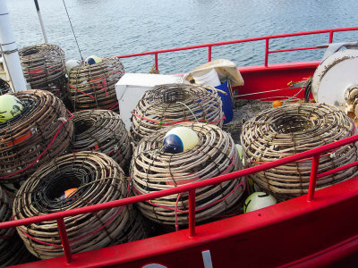 Stanley harbour, crayfish baskets 